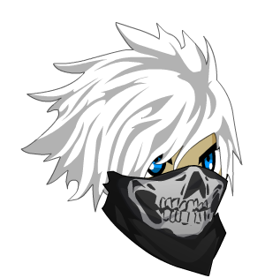 Mask of Street Gangster