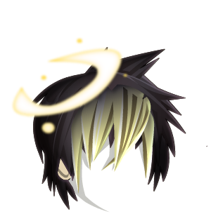 Fallen Shadow Hunter Hair