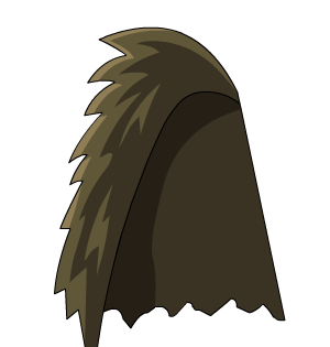 Bear Skin Cloak