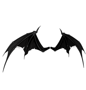 Shadow's Wings