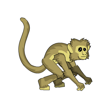 Palace Monkey