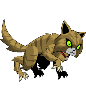 El Gato
