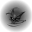Consumed By Black Flame