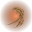 Desert Mark