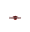 Mortis
